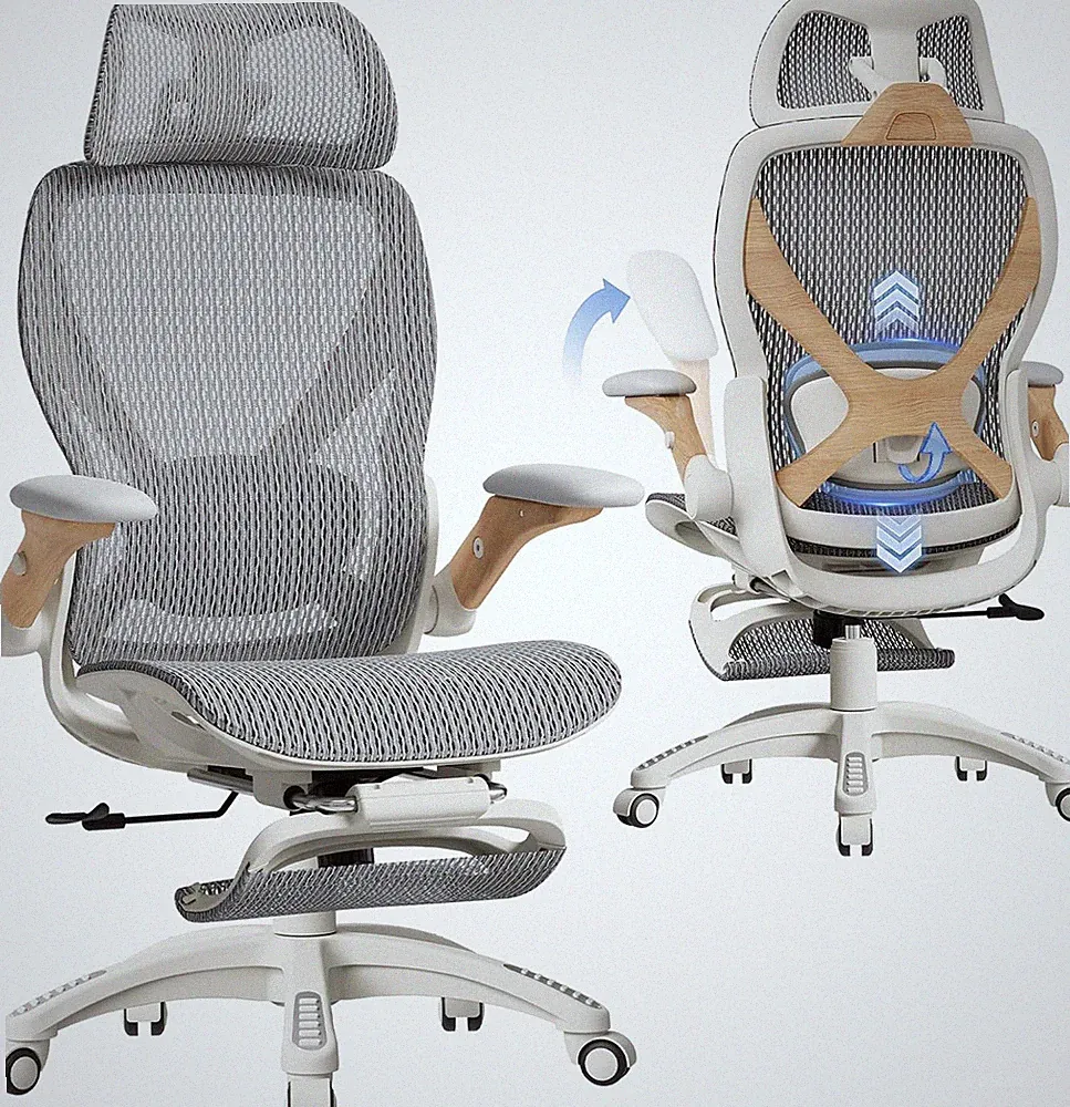 X100 Ergonomic Office Chair with Footrest & 3D Lumbar Support - Foggy Morning